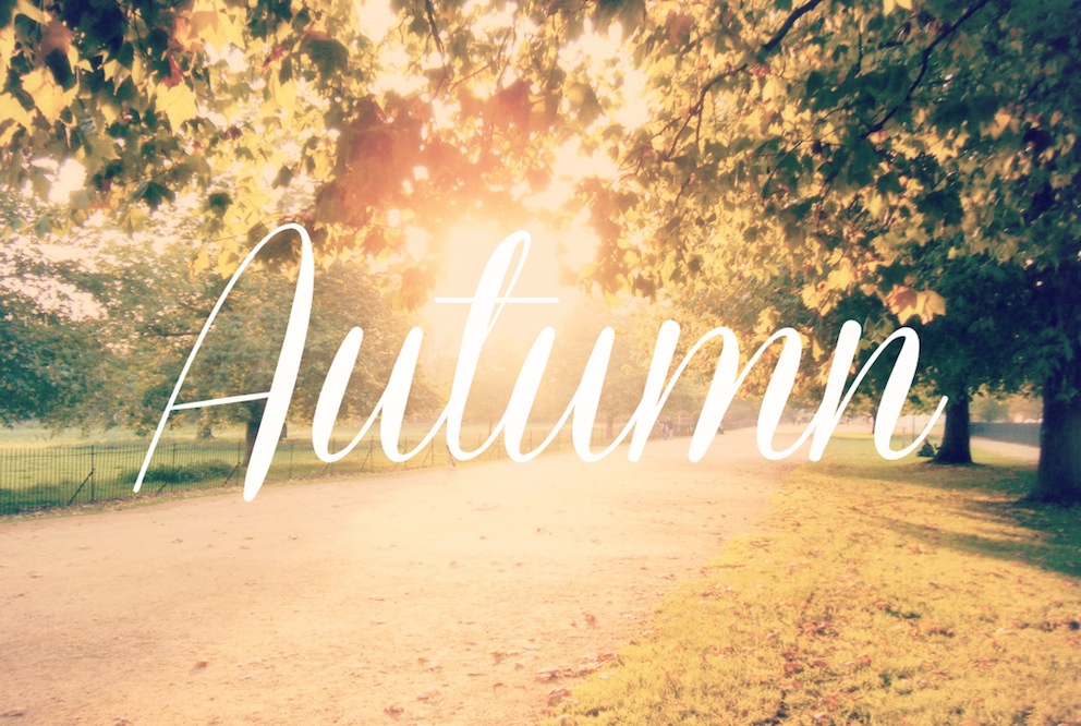 Autumnal Pursuits